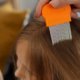 What Are Different Head Lice Screening Options?